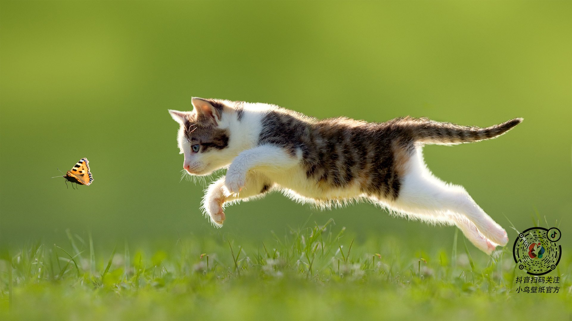 76人连胜稳步前行！，76人连败纪录