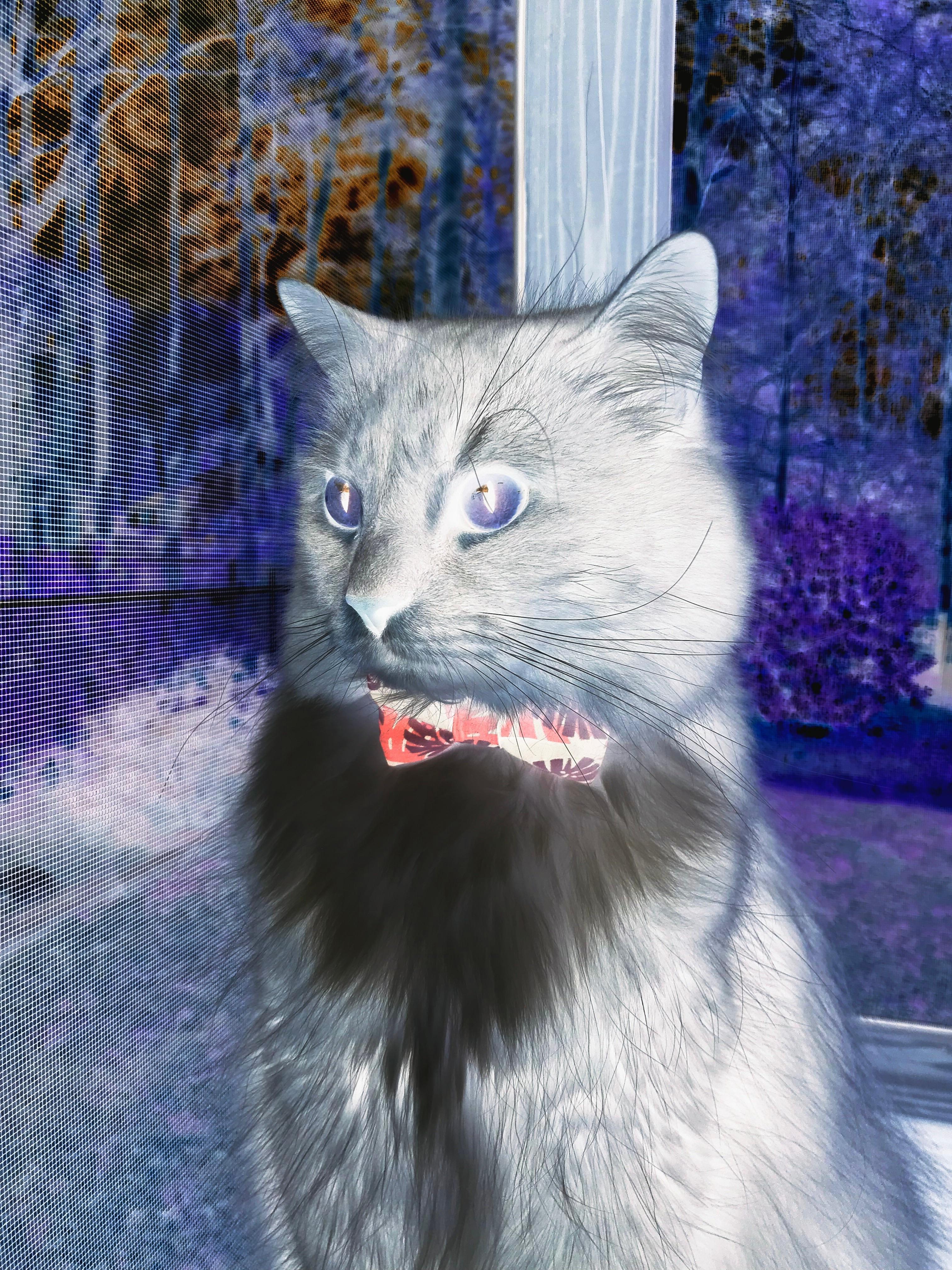 kaiyun 开云体育-_爵士稳步领先，攻守俱佳_，爵士walking