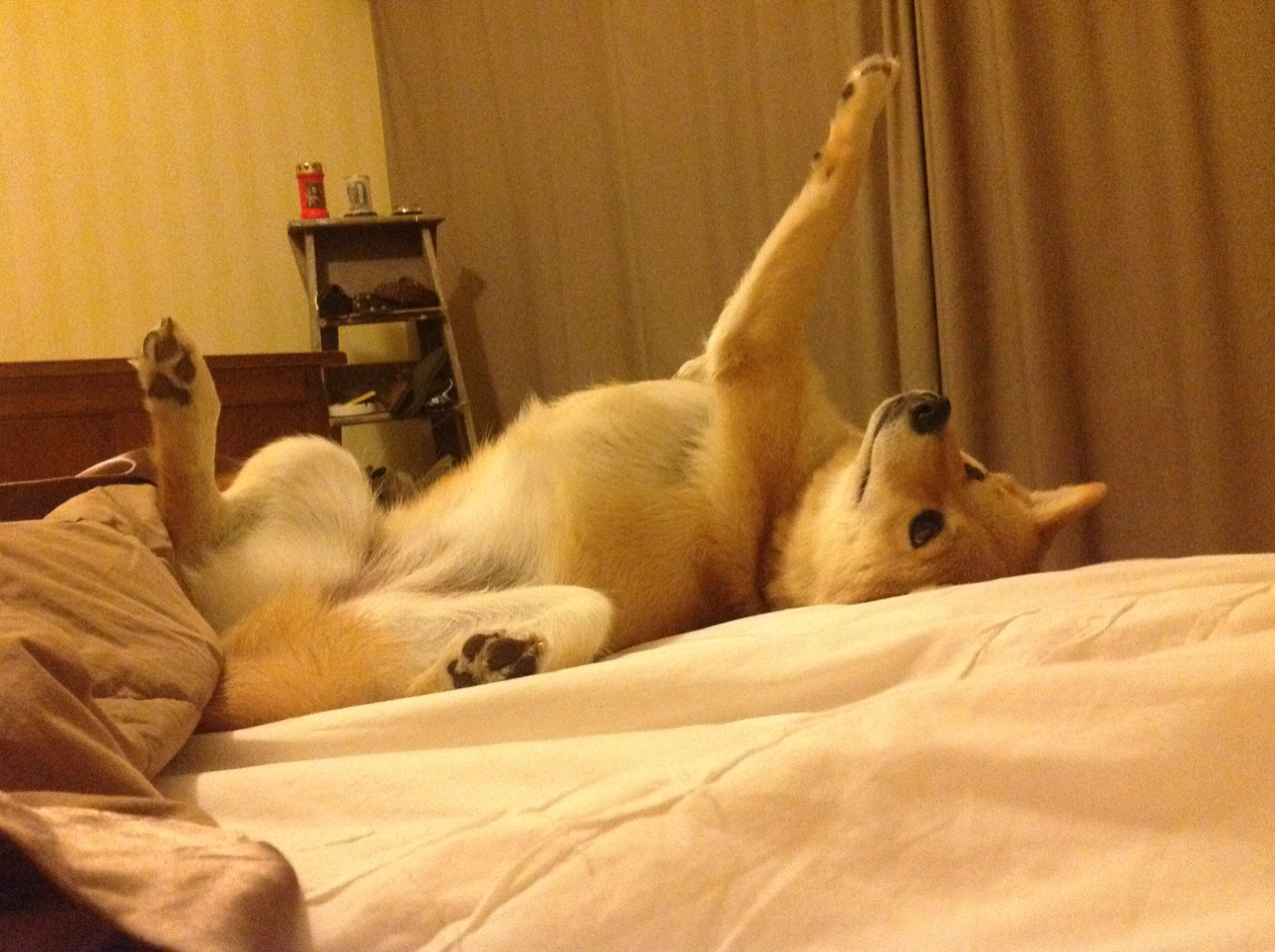 _运动员赛前准备:训练细节揭秘_,运动员赛前准备有哪些