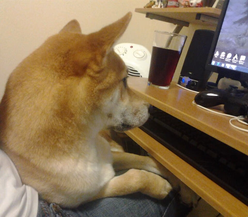 开云APP-【电子裁判助力】高科技如何突破传统主观判罚？，电子裁判的优缺点