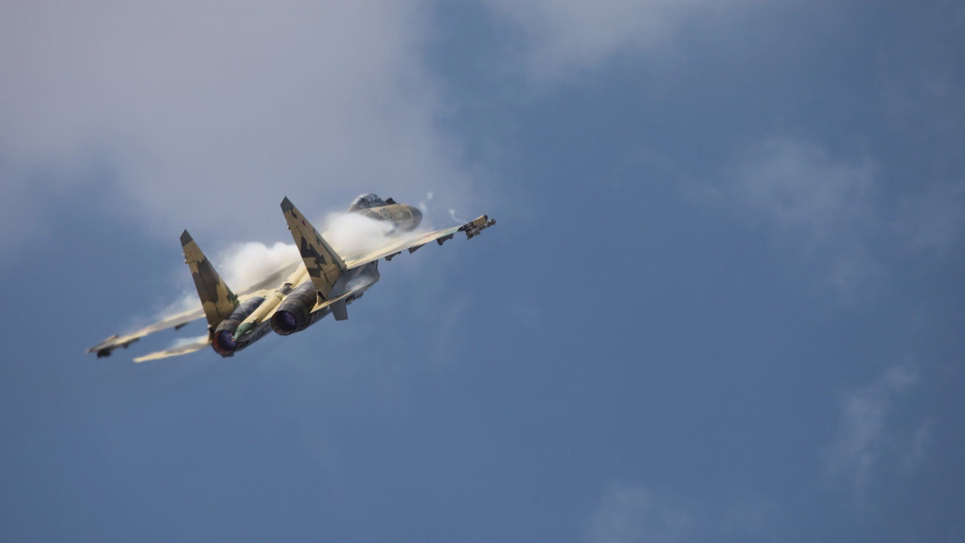 塞内加尔马术协会与兽医合作，开展马匹疾病预防与治疗研究。，塞内加尔羊图片