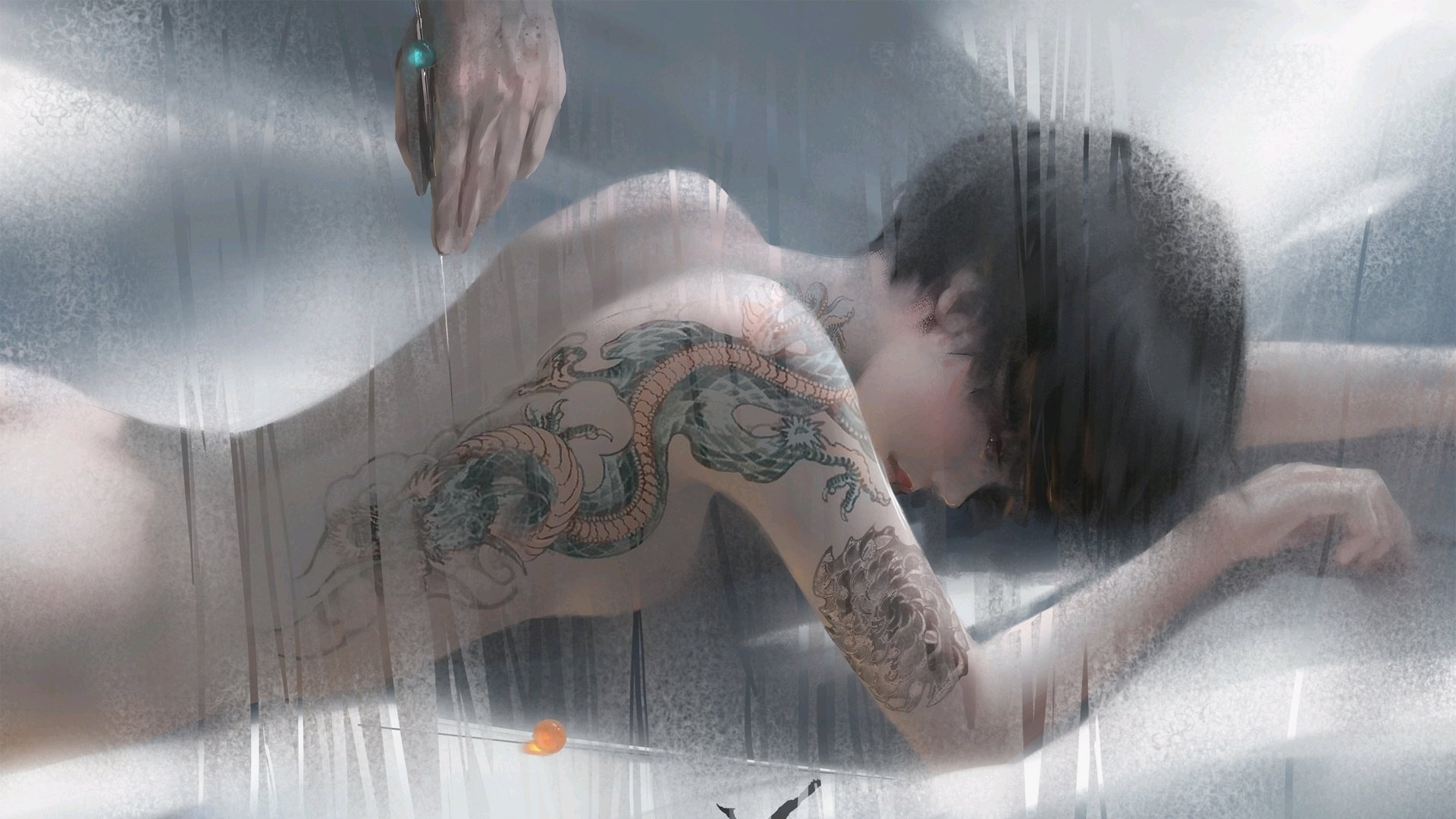 塞内加尔马术协会与国际组织合作,推广“Lamb”至全球。,塞内加尔体育馆