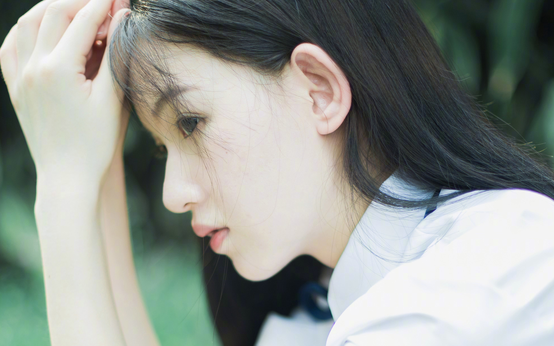 环保新举措:联盟绿色低碳,迈向可持续未来,绿色低碳生态环保