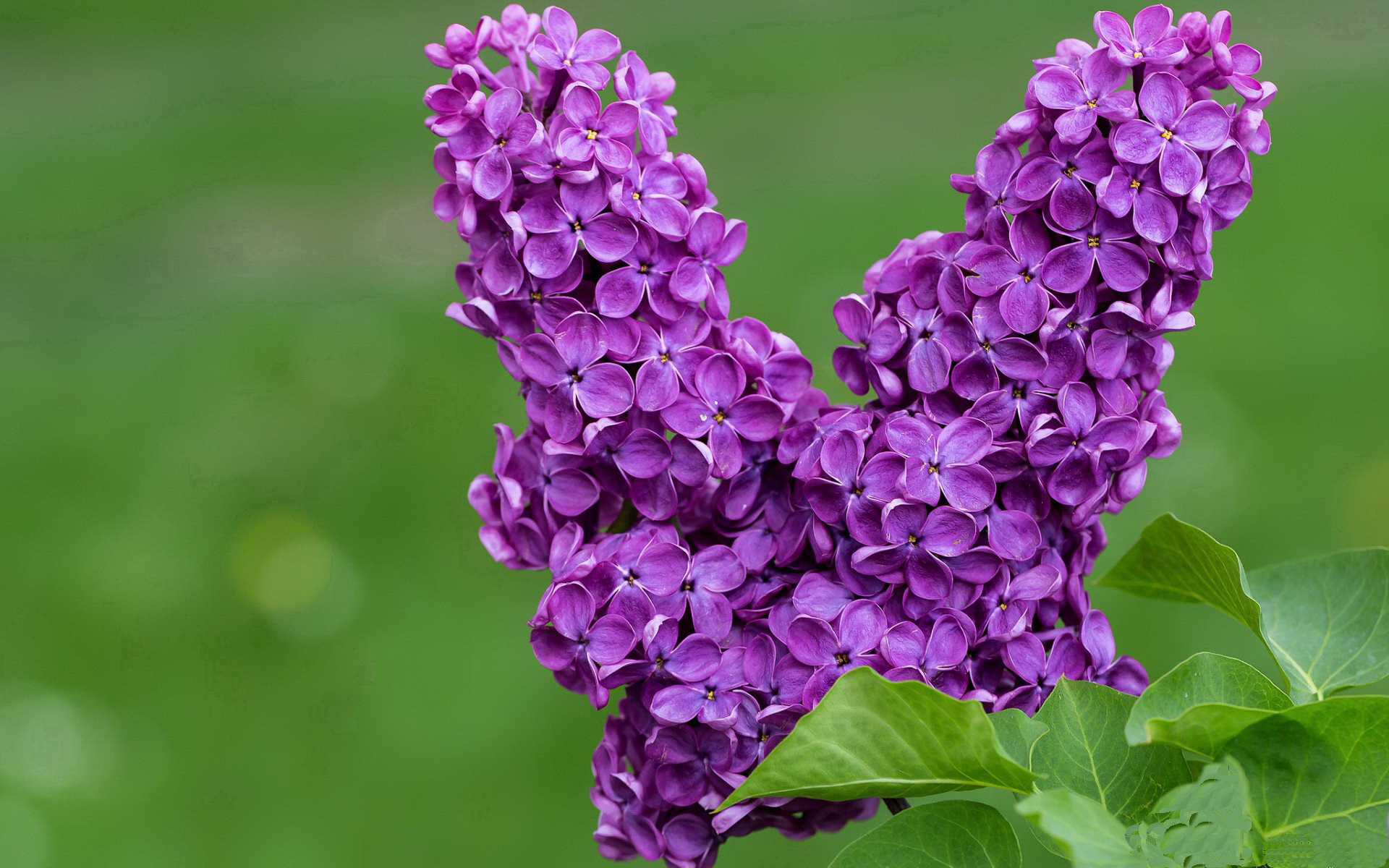 篮球公益训练营深入校园激发兴趣,篮球公益营销策划方案