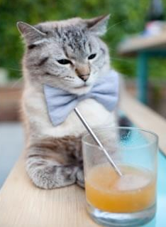 英超关键战，教练赞队员，英超教练下课榜