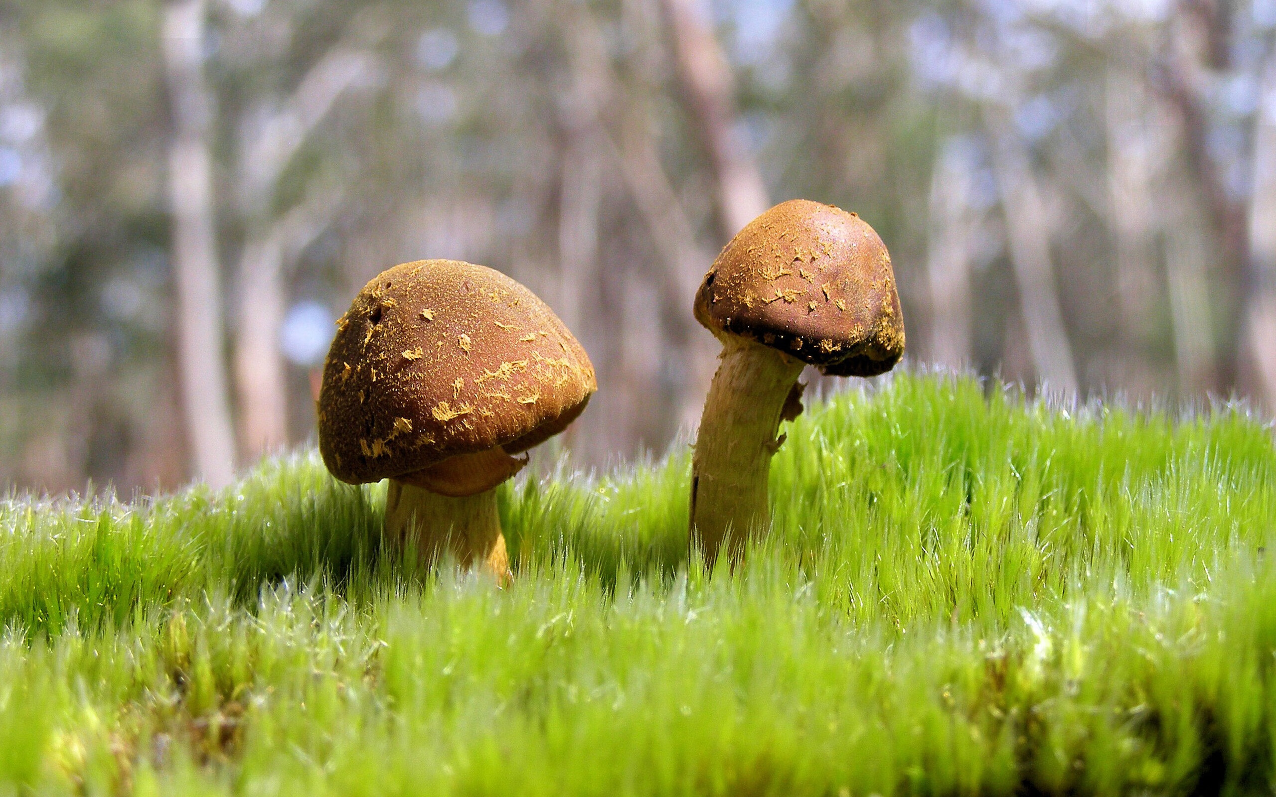 开云网页版-赛场“炼狱”记忆：那些令人震撼的淘汰赛逆转，淘汰赛阶段决赛是什么