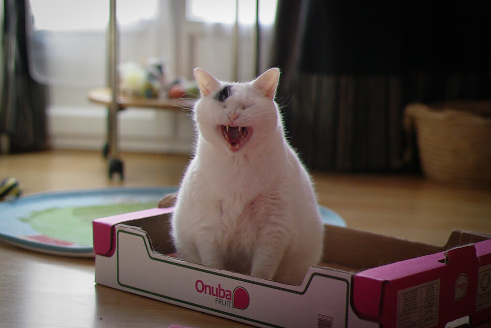 Kaiyun官方登录入口-逆境中的坚韧：伤病复出球员的励志故事，逆境中成长的运动员