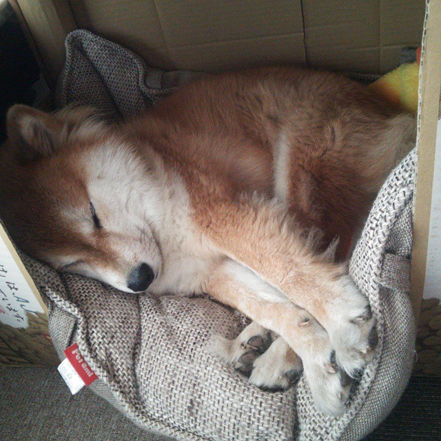 开云体育APP下载-逆境中的坚韧：车手奋勇争胜的叙事，逆境车的图片