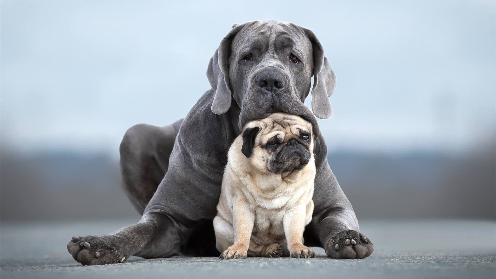 逆境中的奇迹：球队如何在绝境中实现逆转？，绝境中逆转成功的事例