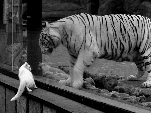 开云首页登录-青训设备引进国际先进仿真系统，提升实战能力，青训模式