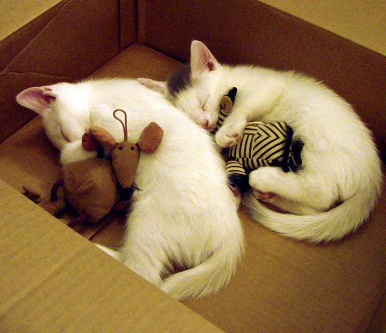 中超俱乐部市场营销创新，吸引更多赞助商，中超俱乐部的发展