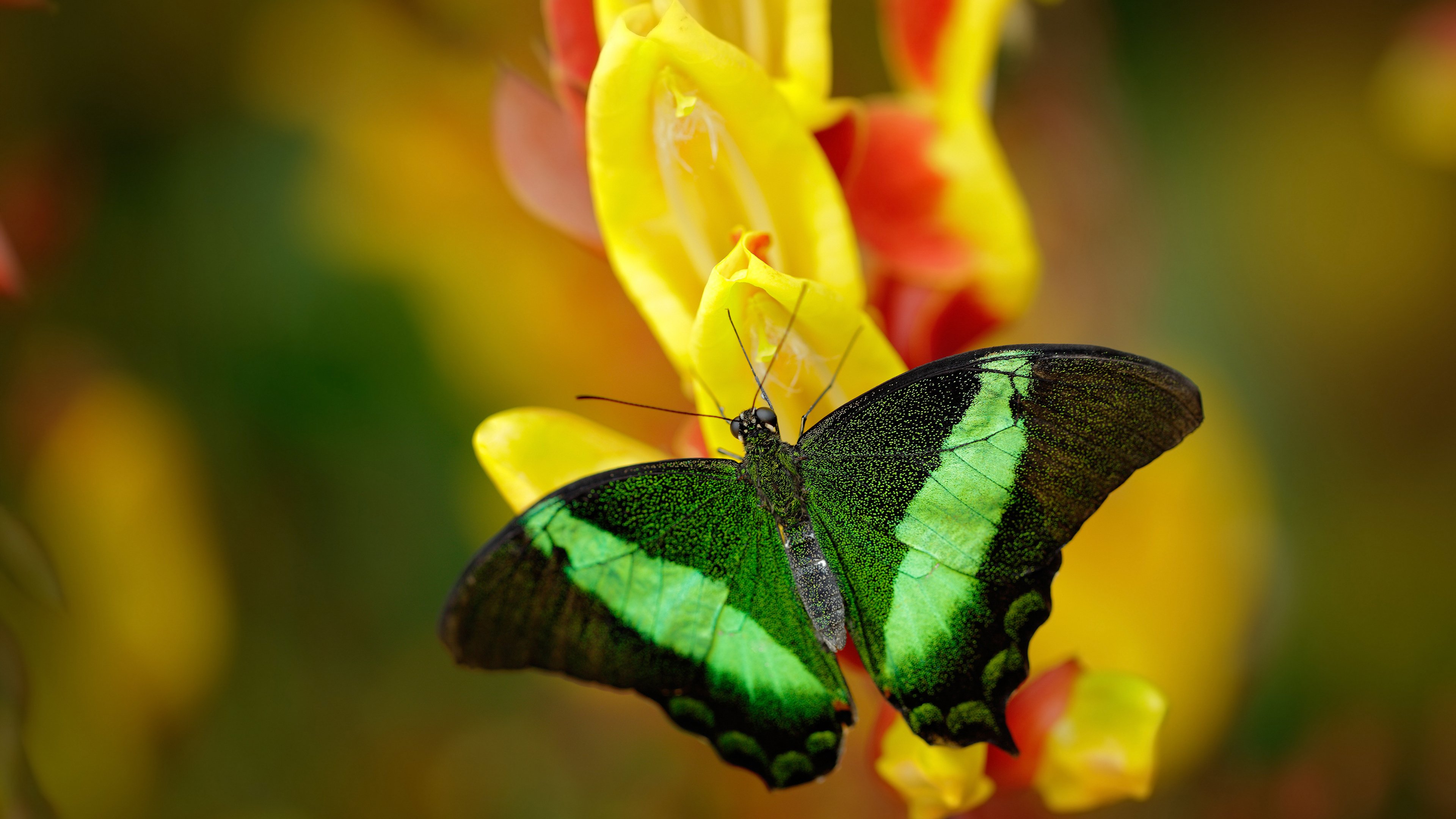 开云APP-中超球员体脂数据首次公布，引发热议，中超球员身高数据