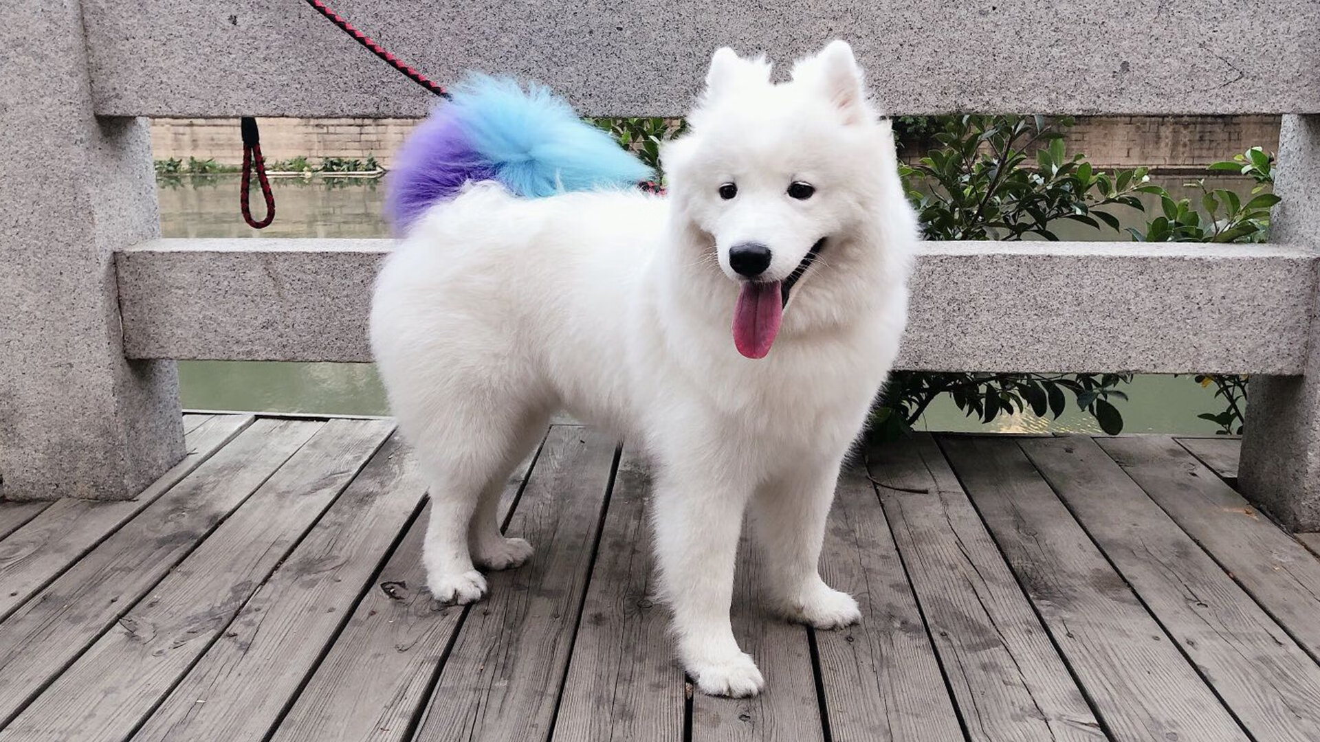 开云体育网页版入口-延边富德医院来福因伤缺阵，球队战力受限，延边富德老板是谁