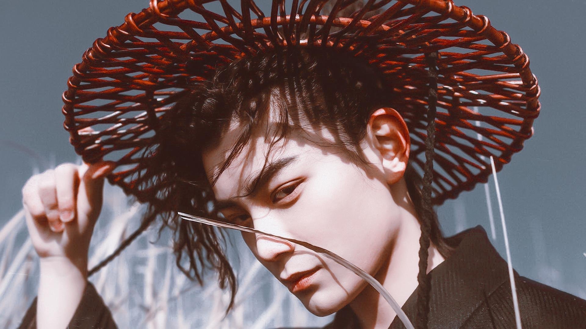 瑞典队在欧预赛比赛中遭遇失利,出线形势堪忧,瑞典队最近比赛