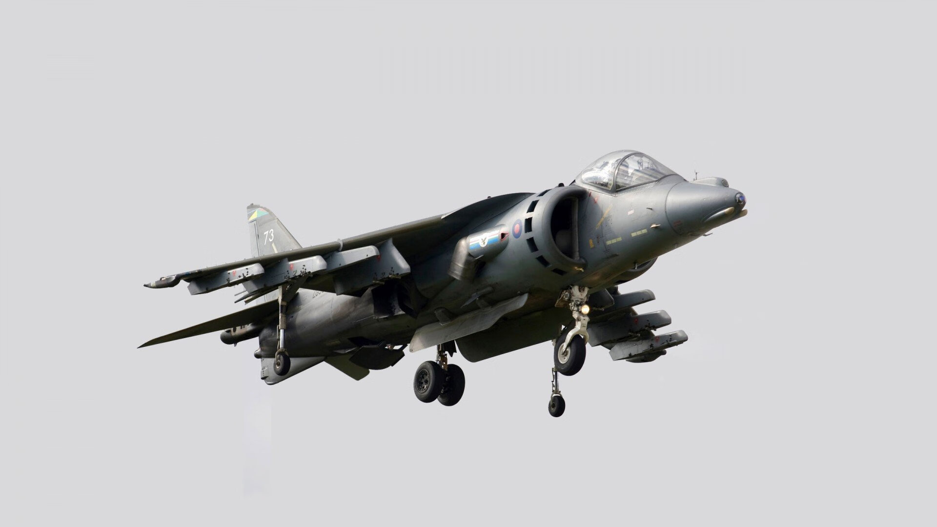 美国队主场胜利,稳居前列位置,美国队主攻