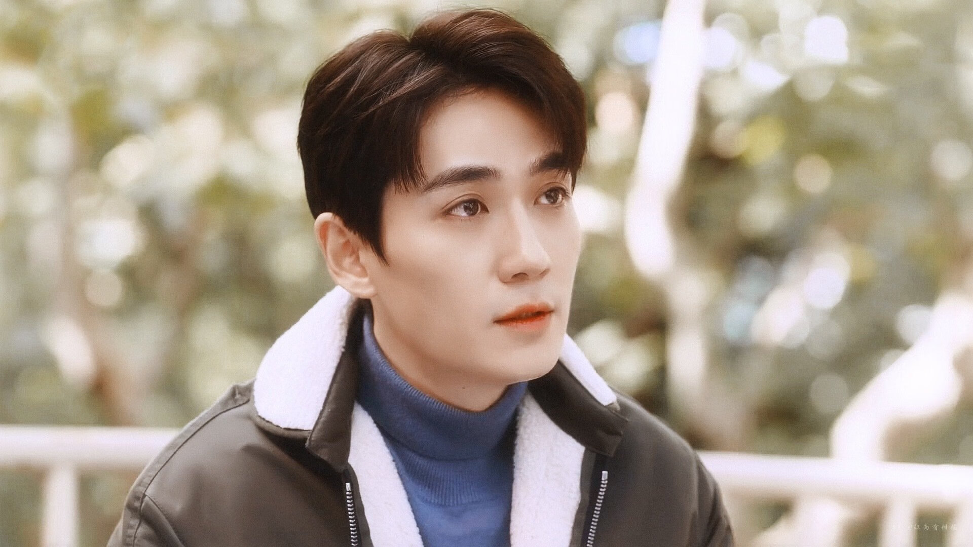 那不勒斯球迷现场助威,为球队鼓与呼,那不勒斯球队厉害吗