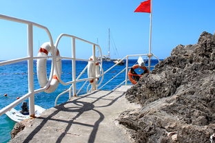 开云体育网页版入口-球场安全：未来球场与安保新思路，球场防护