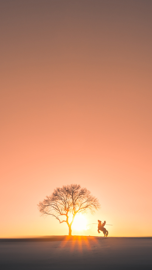 世界围棋赛冠军争夺异常激烈,世界围棋赛冠军争夺异常激烈怎么办