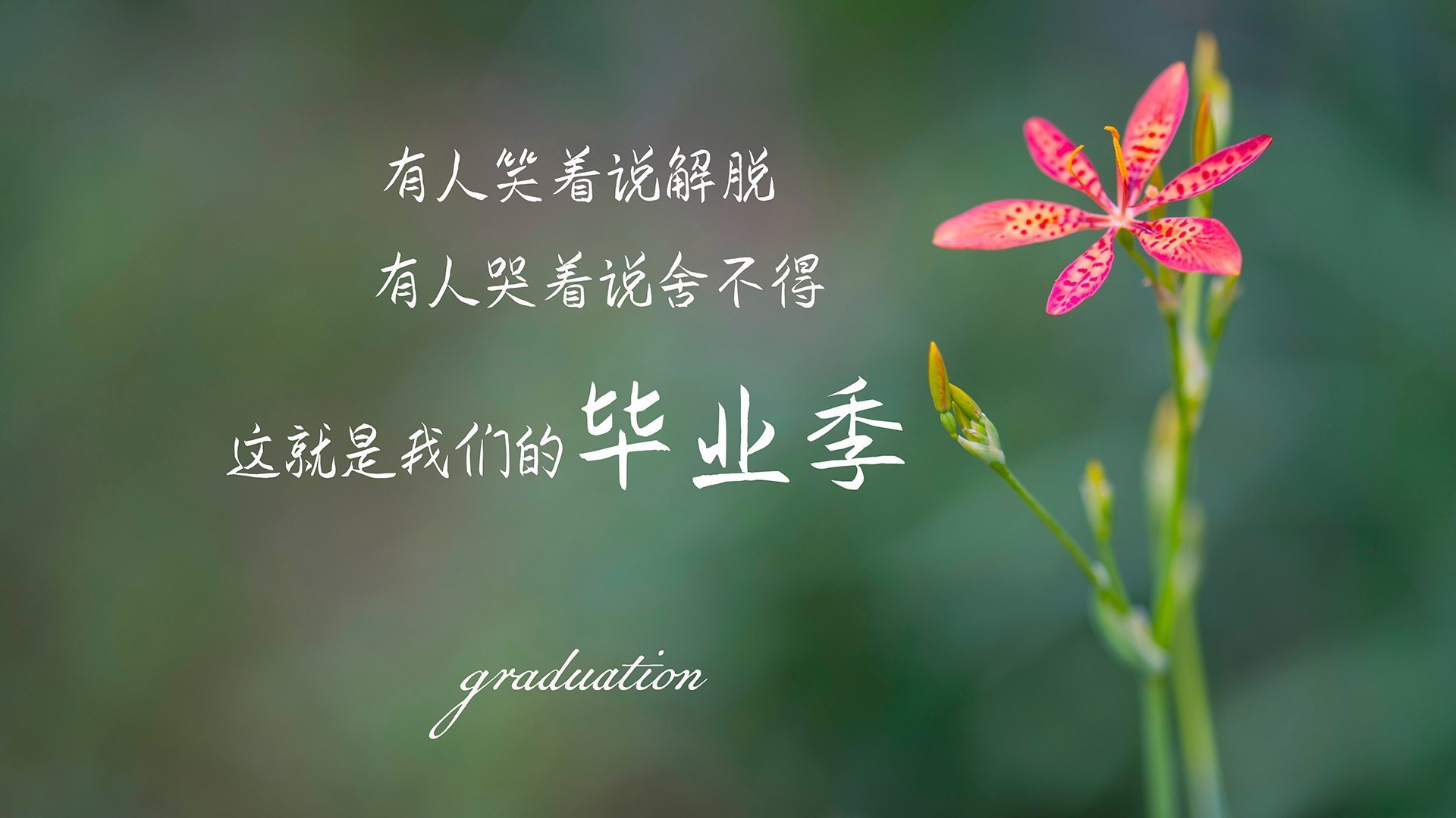 开云体育在线赛事直播-备战系统性强，比赛节奏应对合理，详述什么是比赛节奏