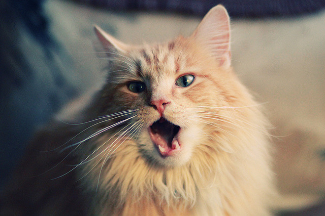 开云官网-防守节奏是否能限制对方外线命中率，防守人能一直待在三秒区吗