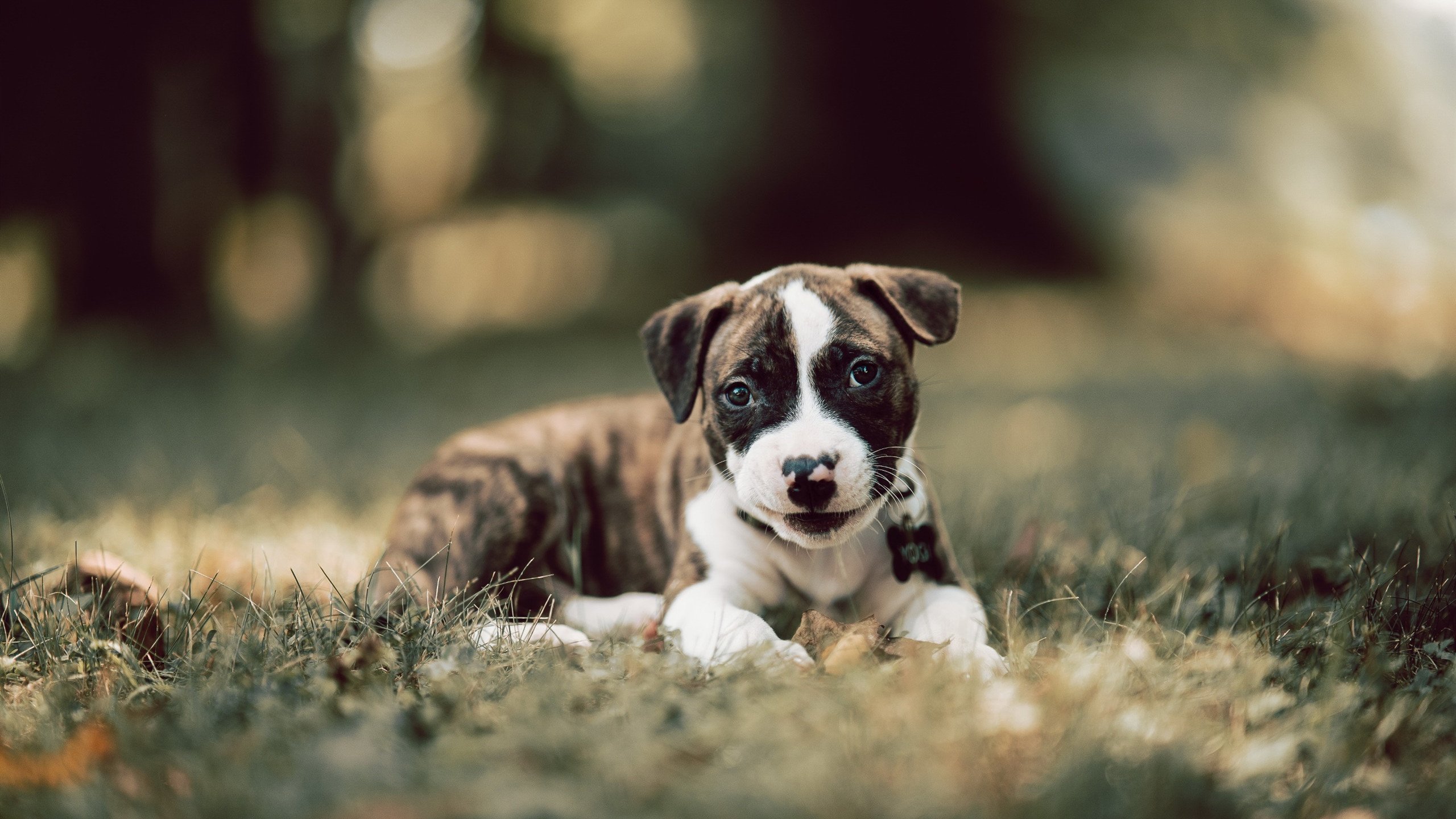 Kaiyun APP-热火官方回顾上赛季高光集锦激发粉丝情绪，热火这个赛季