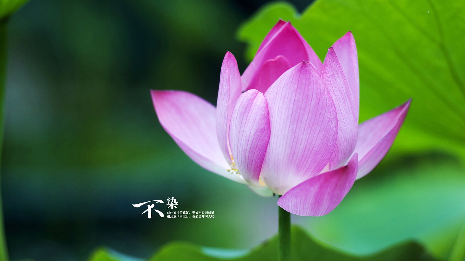 训练营阶段结束主教练对队员表现进行全面总结评估,训练营的教练一个月能挣多少